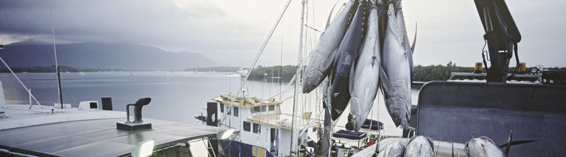 Инвестиционные квоты помогут загрузить верфи и обновить рыбопромысловый флот