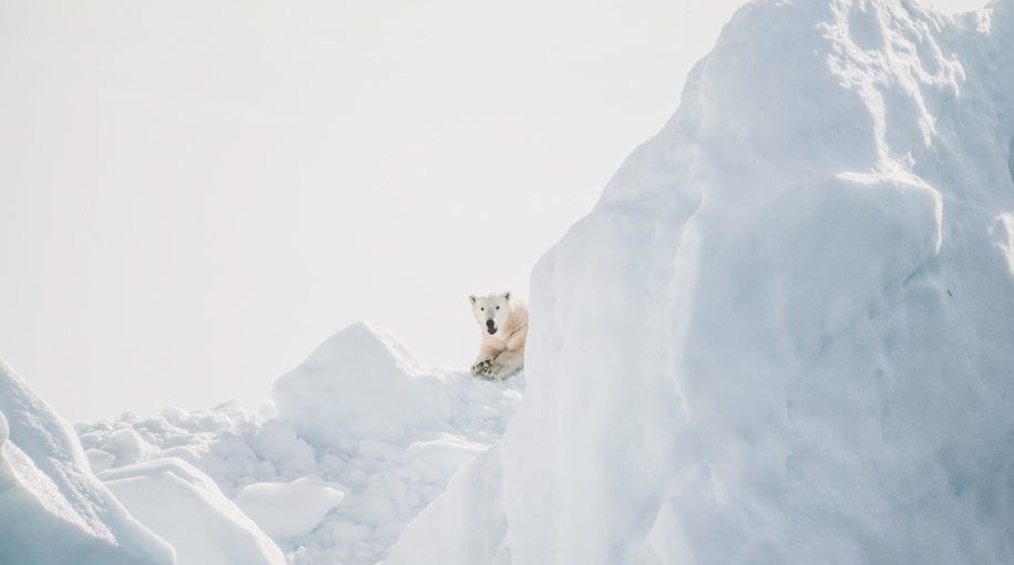 Цифровизация Арктики: в ПАО «Интелтех» разработали систему наблюдения, навигации и связи