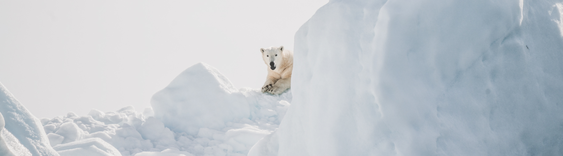 Цифровизация Арктики: в ПАО «Интелтех» разработали систему наблюдения, навигации и связи
