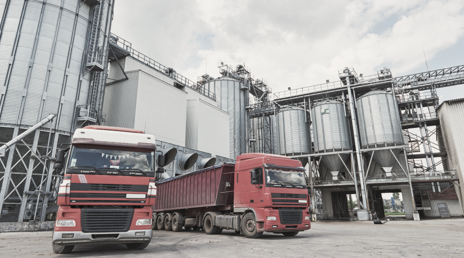 Мишустин поручил до 2 августа утвердить отраслевые планы импортозамещения