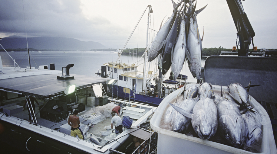 Инвестиционные квоты помогут загрузить верфи и обновить рыбопромысловый флот