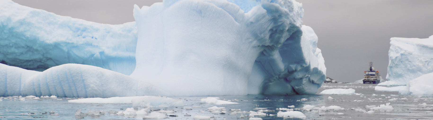 Росатом планирует законтрактовать два дополнительных ледокола типа «Арктика»