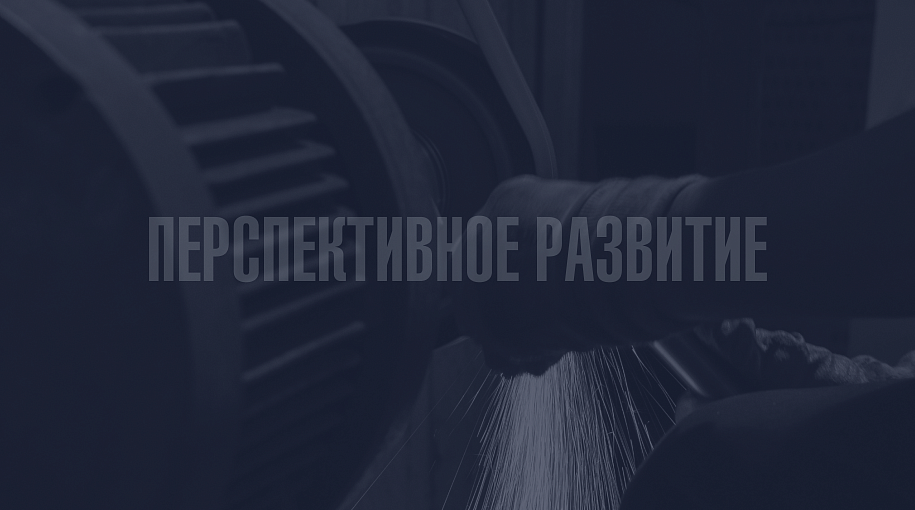 В Калининградской области началось строительство первого в РФ завода литий-ионных батарей